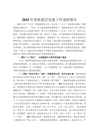 2025年度抓基层党建工作述职报告