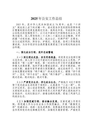 2025年公安工作总结