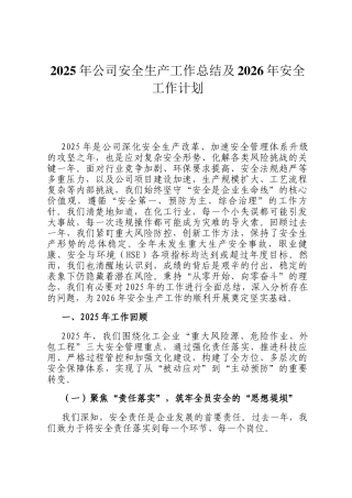 2025年公司安全生产工作总结及2026年安全工作计划