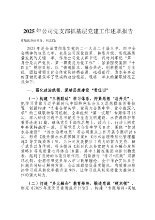 2025年公司党支部抓基层党建工作述职报告