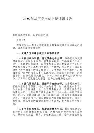 2025年基层党支部书记述职报告