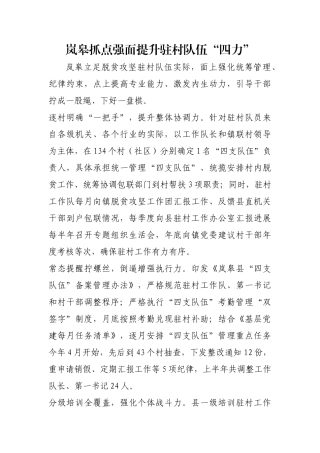 岚皋抓点强面提升驻村队伍“四力”【更多材料关注抖音：资深秘书】