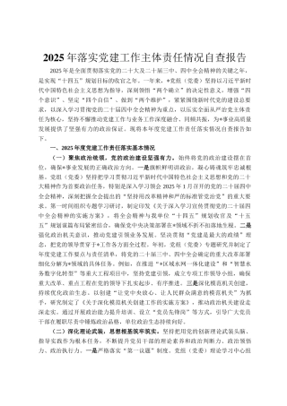 2025年落实党建工作主体责任情况自查报告
