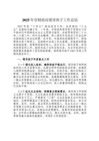 2025年市财政局领导班子工作总结