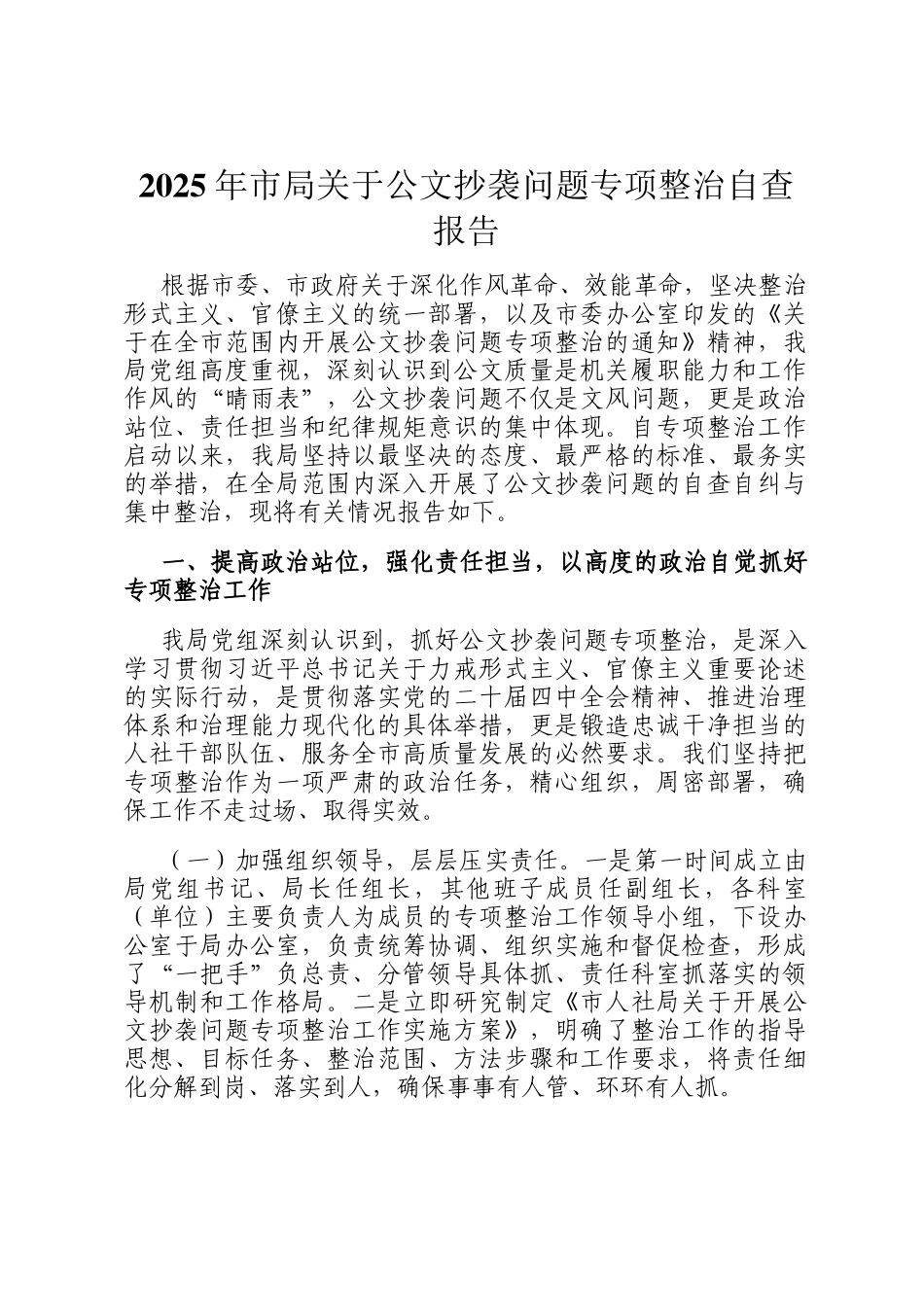 2025年市局关于公文抄袭问题专项整治自查报告_第1页