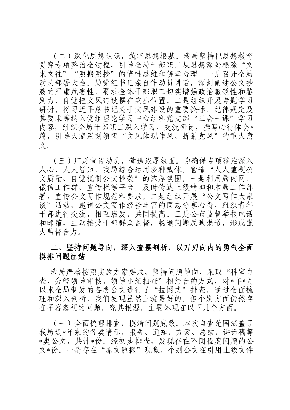 2025年市局关于公文抄袭问题专项整治自查报告_第2页