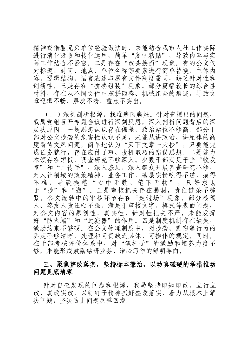 2025年市局关于公文抄袭问题专项整治自查报告_第3页