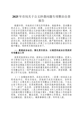 2025年市局关于公文抄袭问题专项整治自查报告