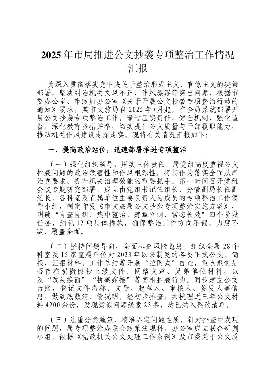 2025年市局推进公文抄袭专项整治工作情况汇报_第1页