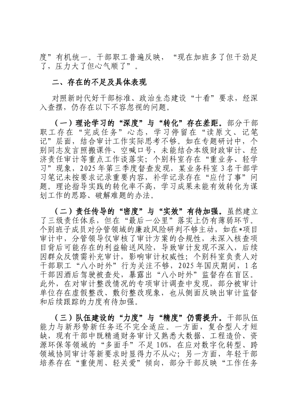 2025年市审计局政治生态分析报告_第3页