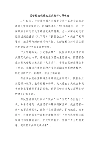 民营经济促进法正式施行心得体会【更多材料关注抖音：资深秘书】