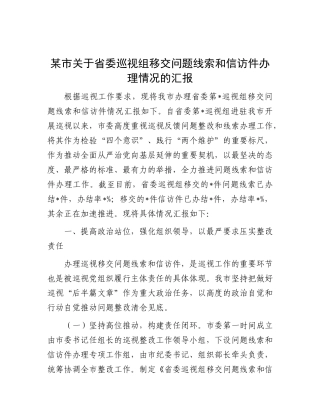 某市关于省委巡视组移交问题线索和信访件办理情况的汇报【更多材料关注抖音：资深秘书】