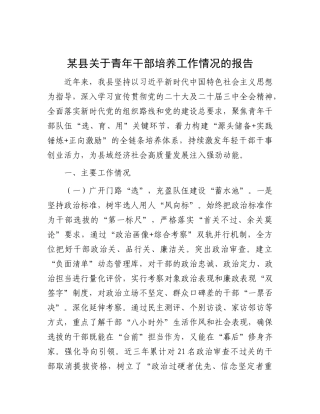 某县关于青年干部培养工作情况的报告【更多材料关注抖音：资深秘书】