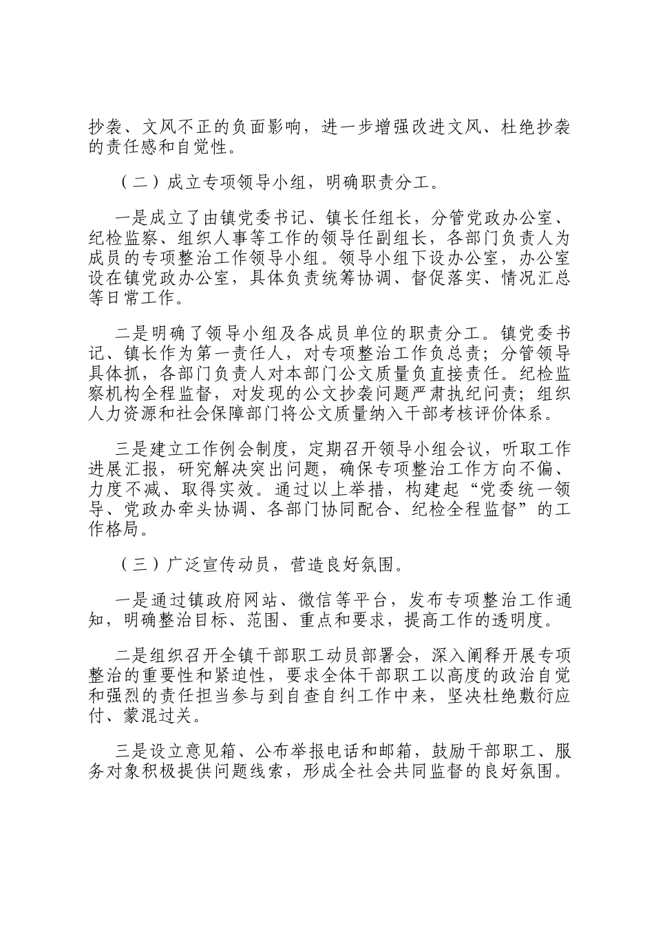 2025年乡镇公文抄袭问题专项整治自查自纠报告_第2页