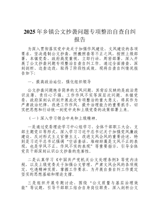2025年乡镇公文抄袭问题专项整治自查自纠报告