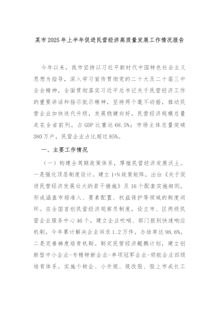 市2025年上半年促进民营经济高质量发展工作情况报告【更多材料关注抖音：资深秘书】