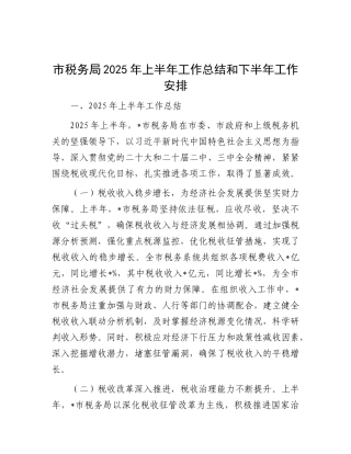 市税务局2025年上半年工作总结和下半年工作安排【更多材料关注抖音：资深秘书】