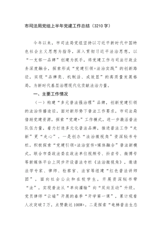 市司法局党组上半年党建工作总结（3210字）【更多材料关注抖音：资深秘书】