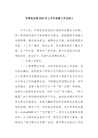 市委政法委2025年上半年党建工作总结（2）【更多材料关注抖音：资深秘书】