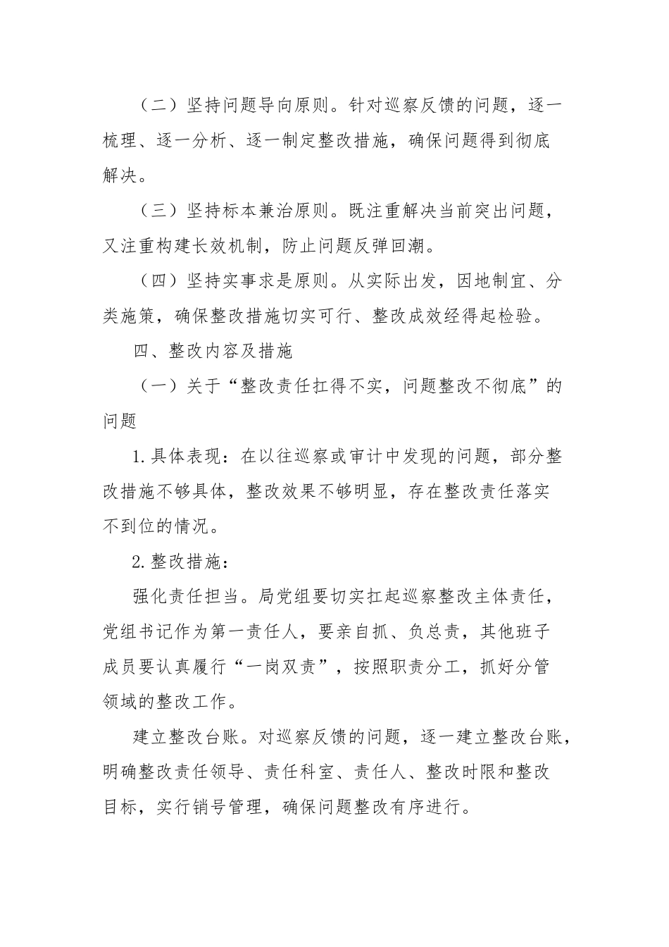 市医疗保障局五届市委十二轮巡察反馈问题整改工作方案【更多材料关注抖音：资深秘书】_第2页