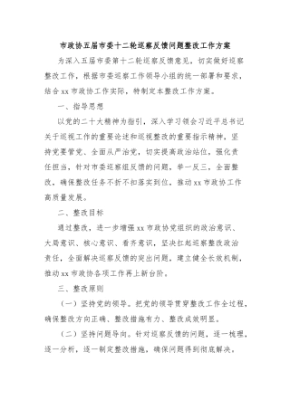 市政协五届市委十二轮巡察反馈问题整改工作方案【更多材料关注抖音：资深秘书】