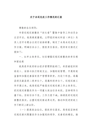未巡先改工作情况的汇报【更多材料关注抖音：资深秘书】
