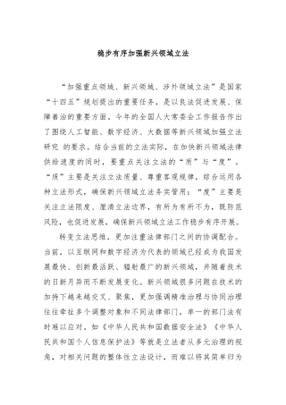 稳步有序加强新兴领域立法【更多材料关注抖音：资深秘书】