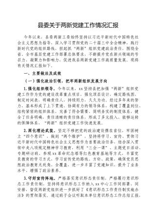 县委两新党建工作情况汇报【更多材料关注抖音：资深秘书】