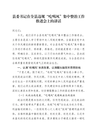 县委书记在全县违规_吃喝风_集中整治工作推进会上的讲话20250616【更多材料关注抖音：资深秘书