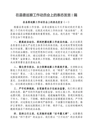 在县委巡察工作动员会上的表态发言2篇【更多材料关注抖音：资深秘书】