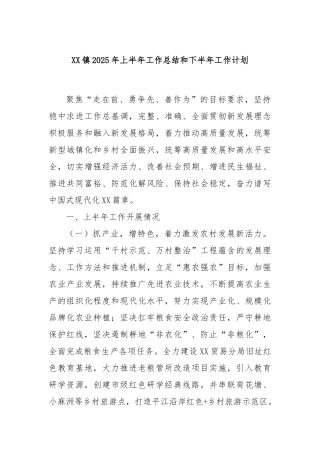 镇2025年上半年工作总结和下半年工作计划【更多材料关注抖音：资深秘书】