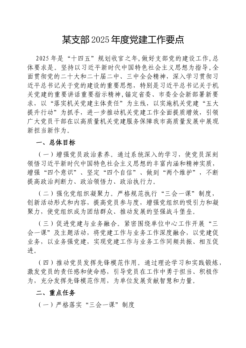 支部2025年度党建工作要点【更多材料关注抖音：资深秘书】_第1页