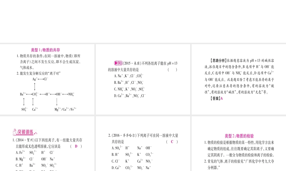 （广西专版）春中考化学 专题2 物质的共存、检验、鉴别、分离与除杂课件 科粤版-人教版初中九年级全册化学课件