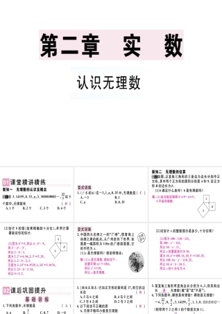 （广东专级数学上册 第二章《实数》2.1 认识无理数习题讲评课件 （新版）北师大版-（新版）北师大级上册数学课件