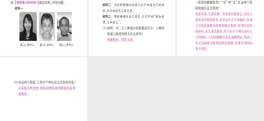 （广西专版）九年级历史上册 第1课 人类的形成习题课件 新人教版-新人教版初中九年级上册历史课件