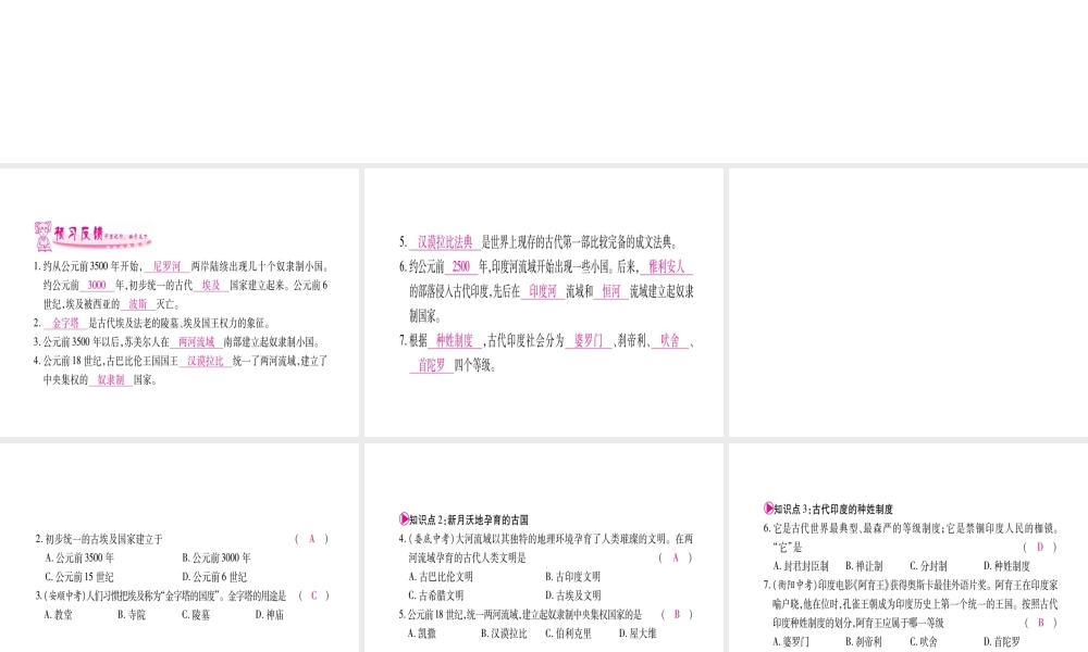 （广西专版）九年级历史上册 第2课 大河流域—人类文明的摇篮习题课件 新人教版-新人教版初中九年级上册历史课件
