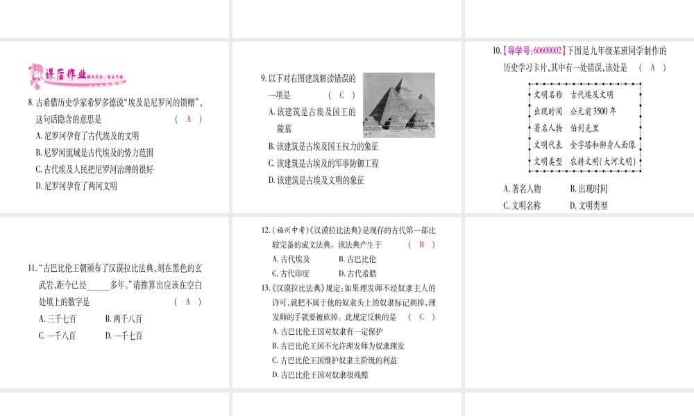（广西专版）九年级历史上册 第2课 大河流域—人类文明的摇篮习题课件 新人教版-新人教版初中九年级上册历史课件