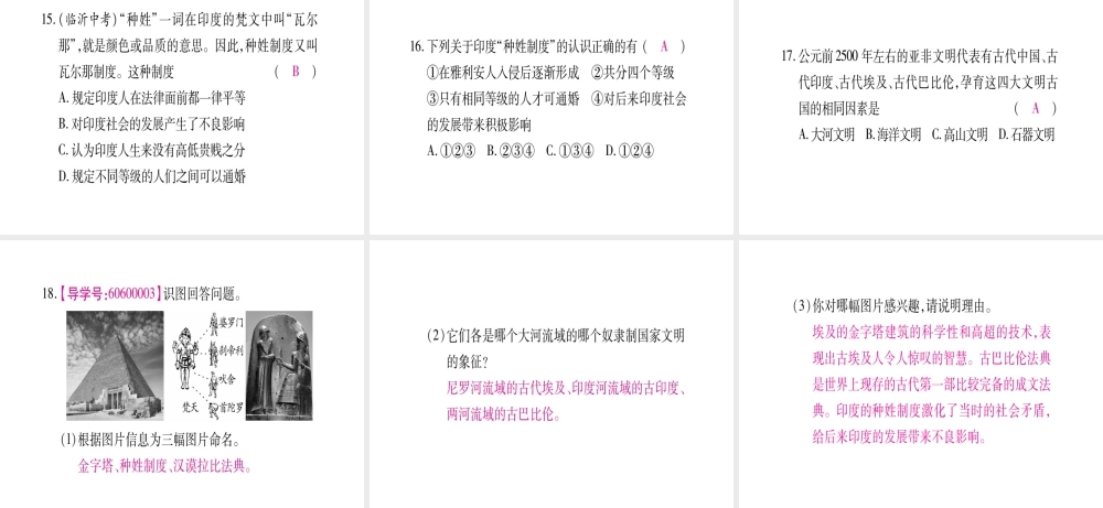 （广西专版）九年级历史上册 第2课 大河流域—人类文明的摇篮习题课件 新人教版-新人教版初中九年级上册历史课件
