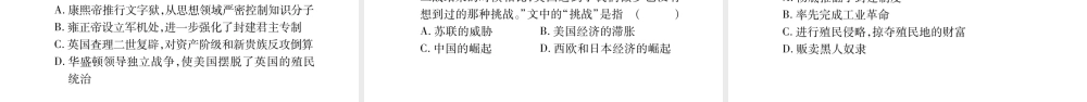 （广西北部湾专版）中考历史总复习 第二篇 知能综合提升 专题6 资本主义的发展历程及大国崛起课件 新人教版-新人教版初中九年级全册历史课件