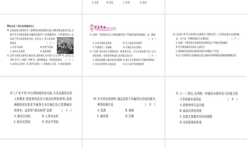 （广西专版）九年级历史上册 第5课 中古欧洲社会习题课件 新人教版-新人教版初中九年级上册历史课件