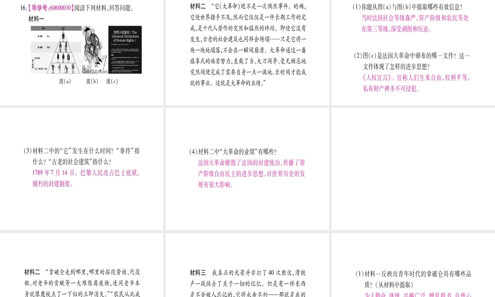 （广西专版）九年级历史上册 第13课 法国大革命和拿破仑帝国习题课件 新人教版-新人教版初中九年级上册历史课件