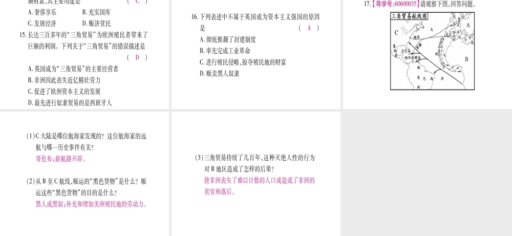 （广西专版）九年级历史上册 第15课 血腥的资本积累习题课件 新人教版-新人教版初中九年级上册历史课件