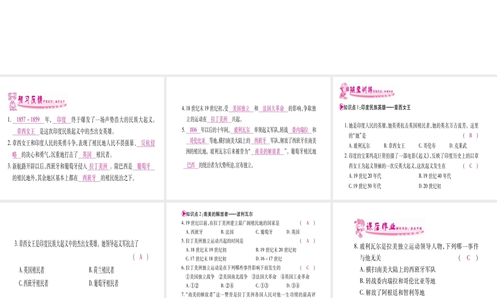 （广西专版）九年级历史上册 第16课 殖民地人民的抗争习题课件 新人教版-新人教版初中九年级上册历史课件
