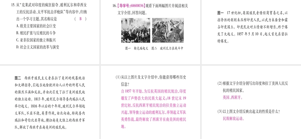 （广西专版）九年级历史上册 第16课 殖民地人民的抗争习题课件 新人教版-新人教版初中九年级上册历史课件