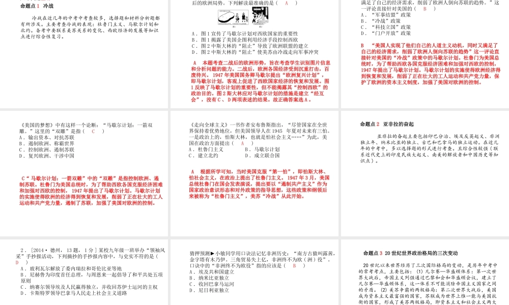 （德州专版）中考历史总复习 第一部分 系统复习 成绩基石 主题十九 亚非拉国家的奋起及战后世界格局的演变课件-人教版初中九年级全册历史课件