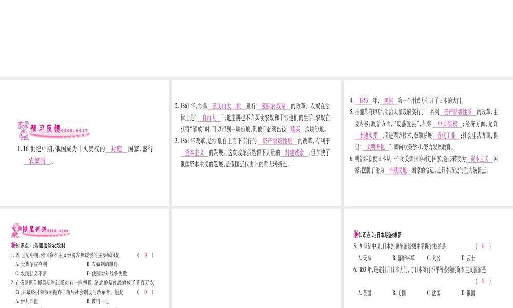 （广西专版）九年级历史上册 第19课 俄国、日本的历史转折习题课件 新人教版-新人教版初中九年级上册历史课件