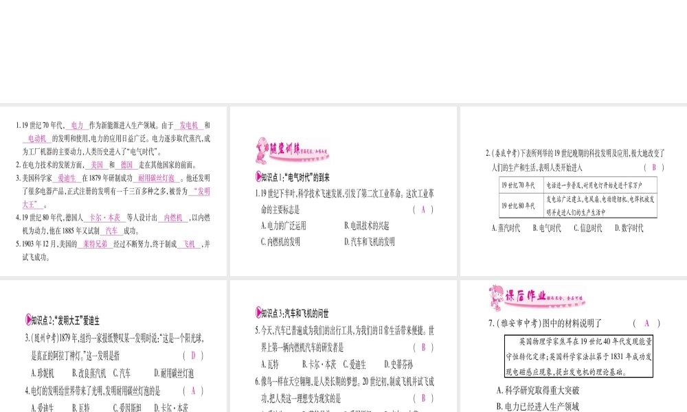 （广西专版）九年级历史上册 第20课 人类迈入电气时代习题课件 新人教版-新人教版初中九年级上册历史课件