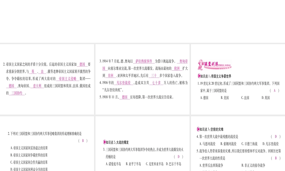 （广西专版）九年级历史上册 第21课 第一次世界大战习题课件 新人教版-新人教版初中九年级上册历史课件