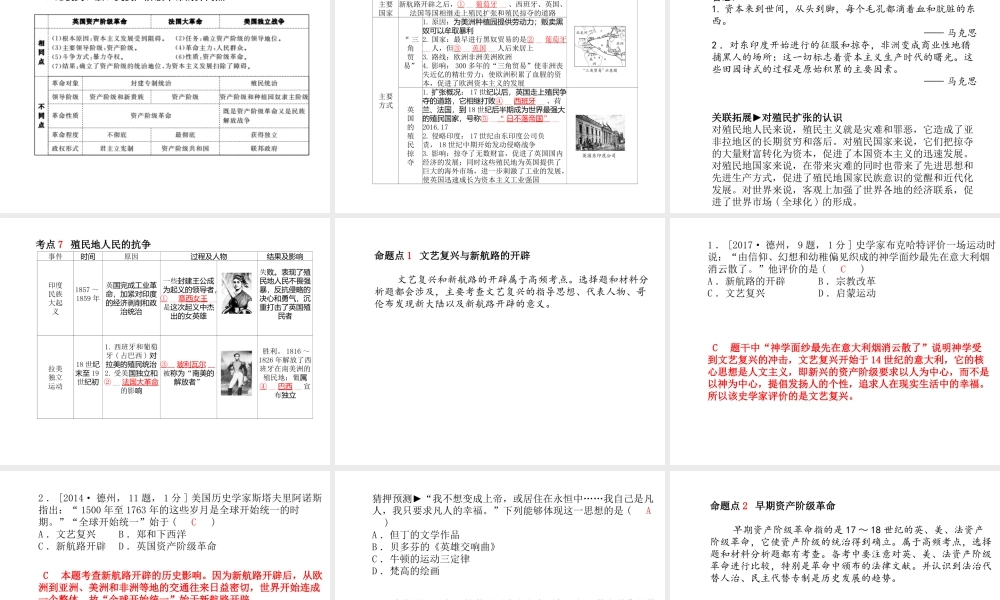 （德州专版）中考历史总复习 第一部分 系统复习 成绩基石 主题十五 早期资产阶级革命与殖民扩张课件-人教版初中九年级全册历史课件