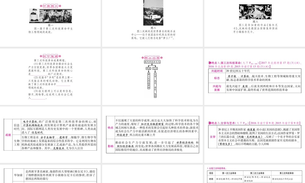 （广西北部湾专版）中考历史总复习 第一篇 考点系统复习 九下 第8单元课件 新人教版-新人教版初中九年级全册历史课件